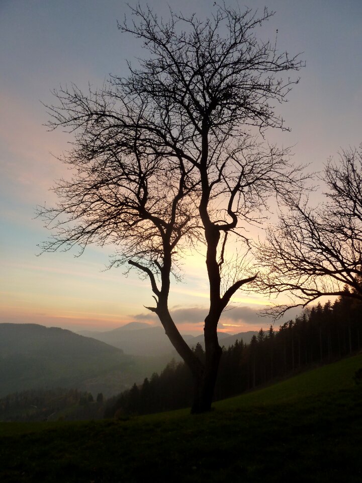 Nature mood cold