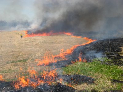 Controlled burn at Iroquois National Wildlife Refuge