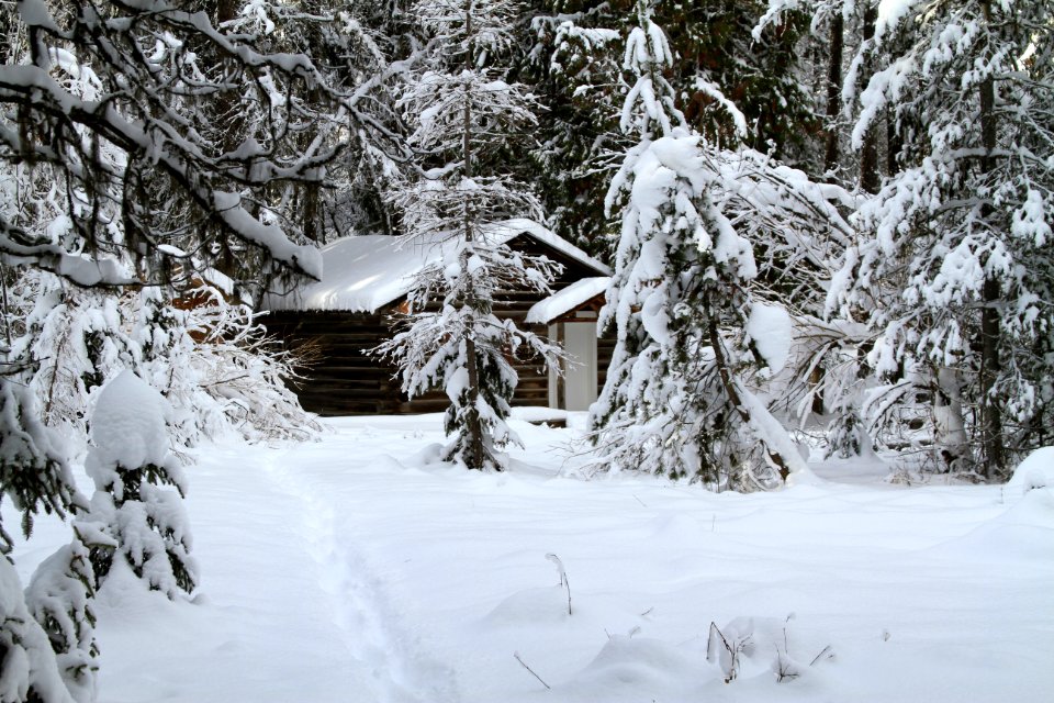 Discovery Cabin