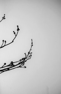 balance