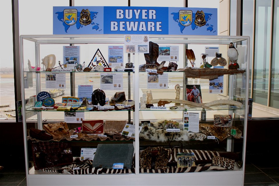 Buyer Beware Exhibit at Logan Airport