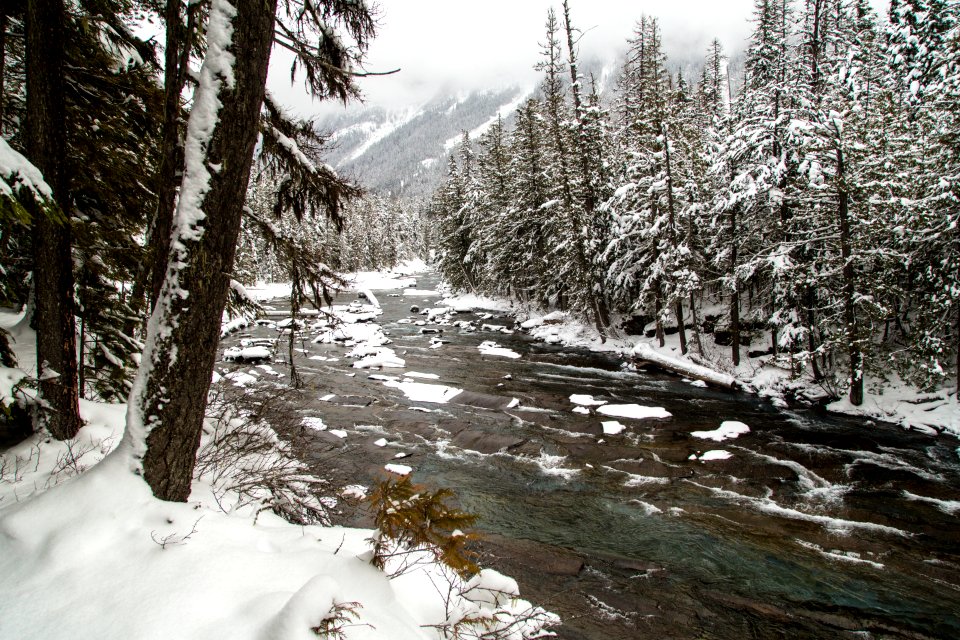 McDonald Creek between McDonald Creek Falls and Sacred Dancing Cascades photo