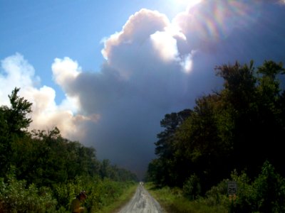 Early smoke