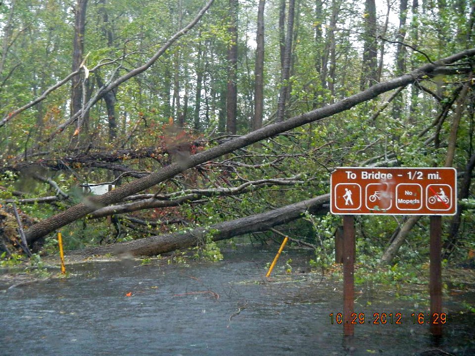 Hurricane Sandy hit Chincoteague National Wildlife Refuge (VA)