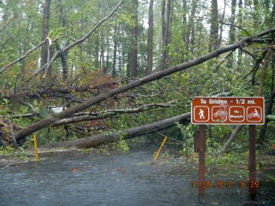 Hurricane Sandy hit Chincoteague National Wildlife Refuge (VA) photo