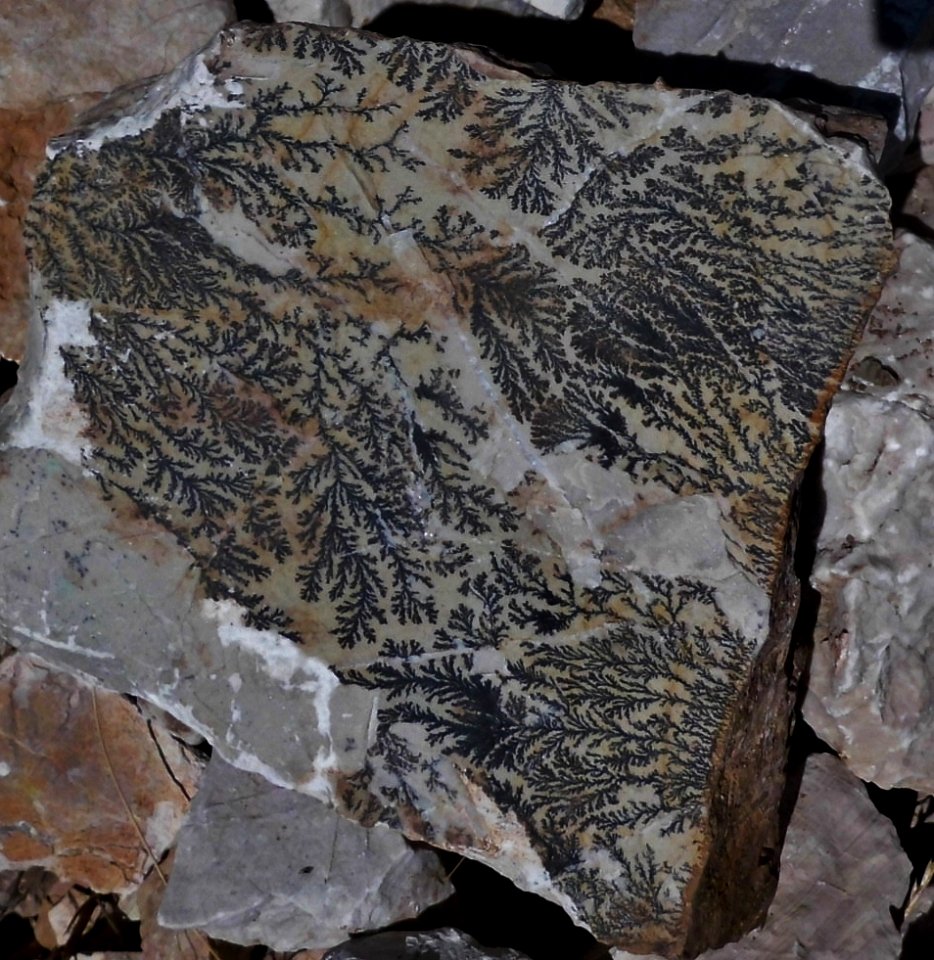 Dentrites, Δενδρίτες