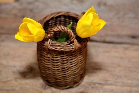 Wood cut flowers yellow flowers