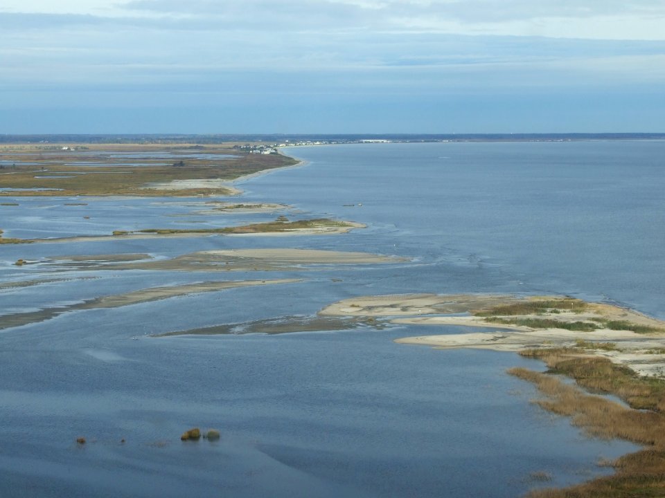 Flooding at Prime Hook National Wildlife Refuge (DE)