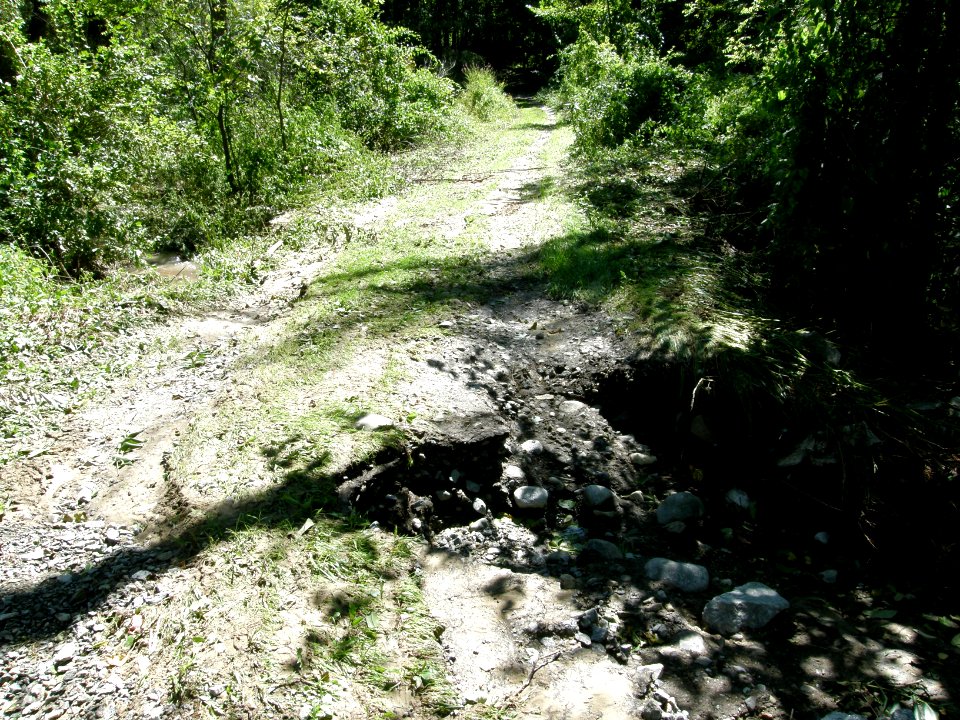 Hurricane Damage at Wallkill River National Wildlife Refuge August 30, 2011
