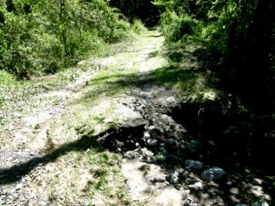 Hurricane Damage at Wallkill River National Wildlife Refuge August 30, 2011