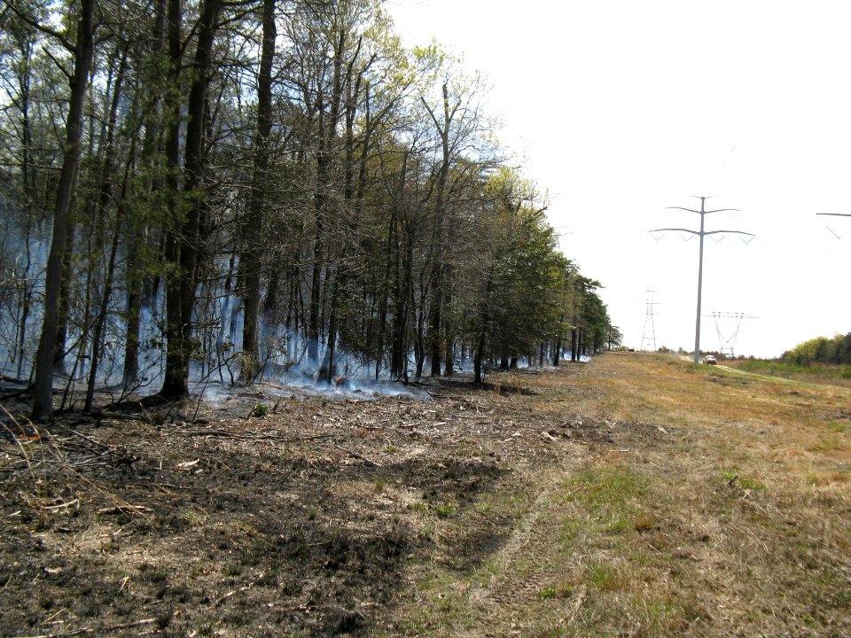 Western Boundary