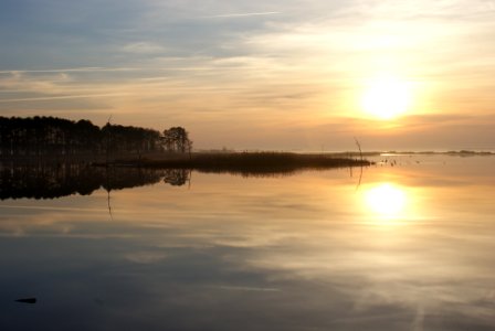 Photo of the Week - Blackwater River (MD) photo