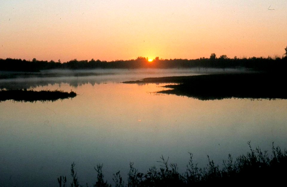 A new day awakens in the marsh