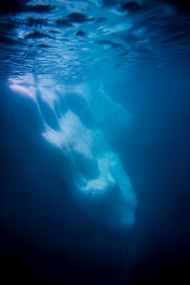 iceberglake-02450