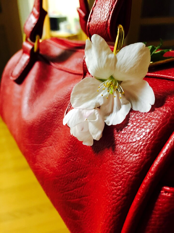 Purse white flower red