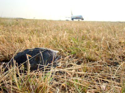 20120106-OC-AMW-594