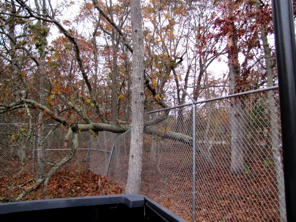 Hurricane damage at Long Island National Wildlife Refuge Complex (NY)