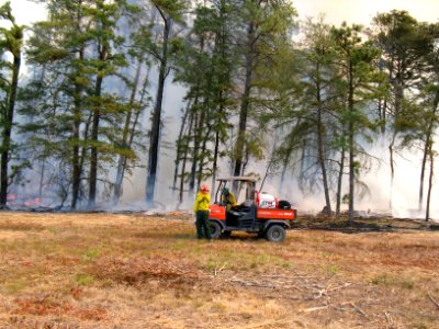 Scouting the Burn
