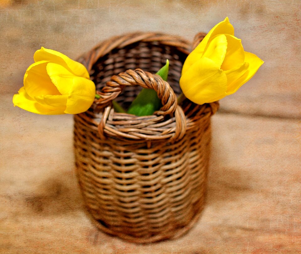 Yellow flowers cut flowers basket