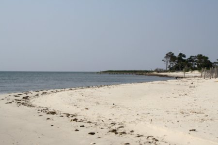 Bavon Beach project photo