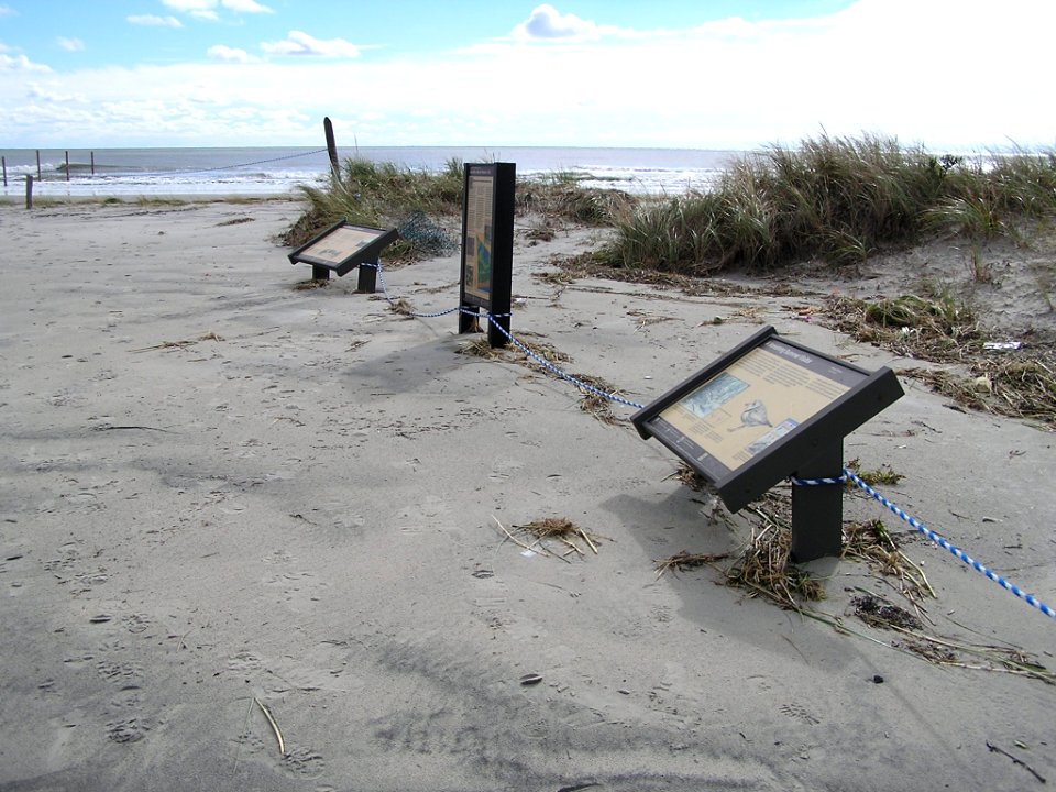 Hurricane Sandy damaged Cape May National Wildlife Refuge (NJ)