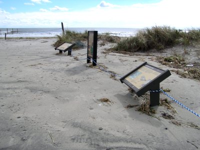 Hurricane Sandy damaged Cape May National Wildlife Refuge (NJ)