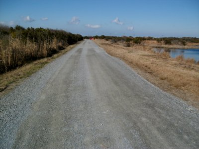 Access road restored at Back Bay National Wildlife Refuge (VA) photo