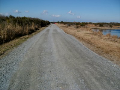 Access road restored at Back Bay National Wildlife Refuge (VA)