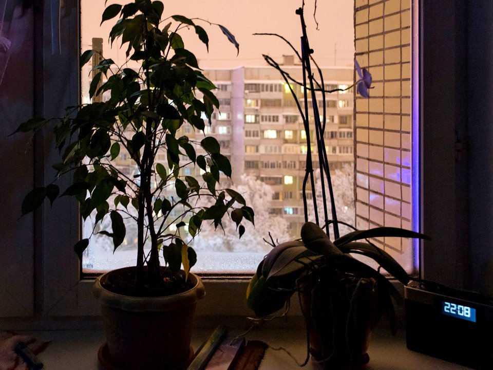 Winter's miniature