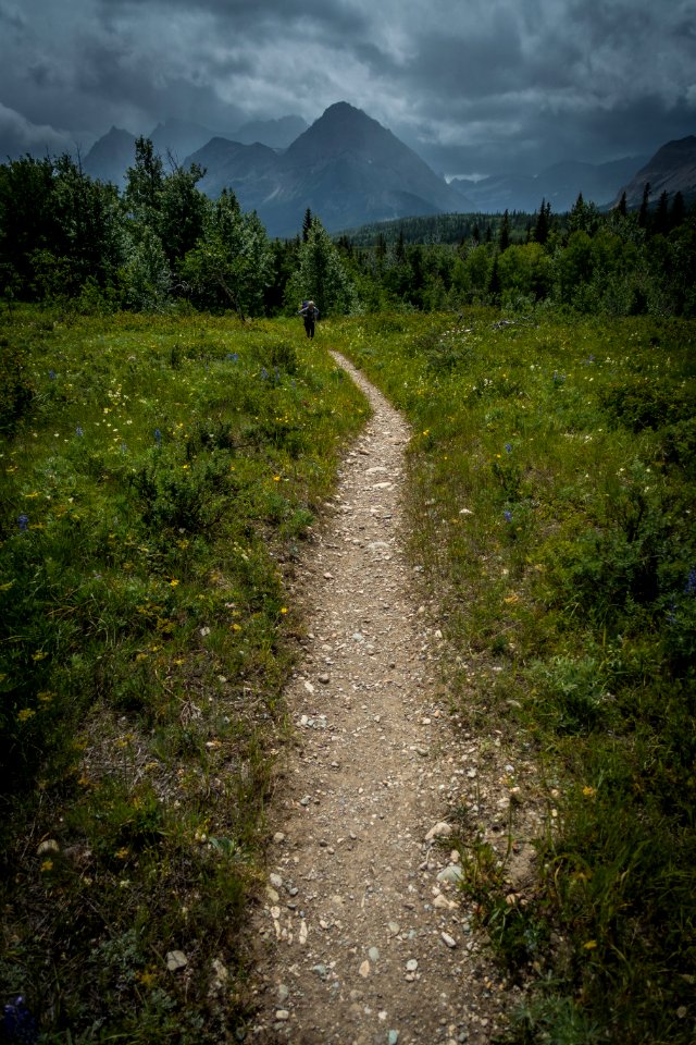 Belly River Trail