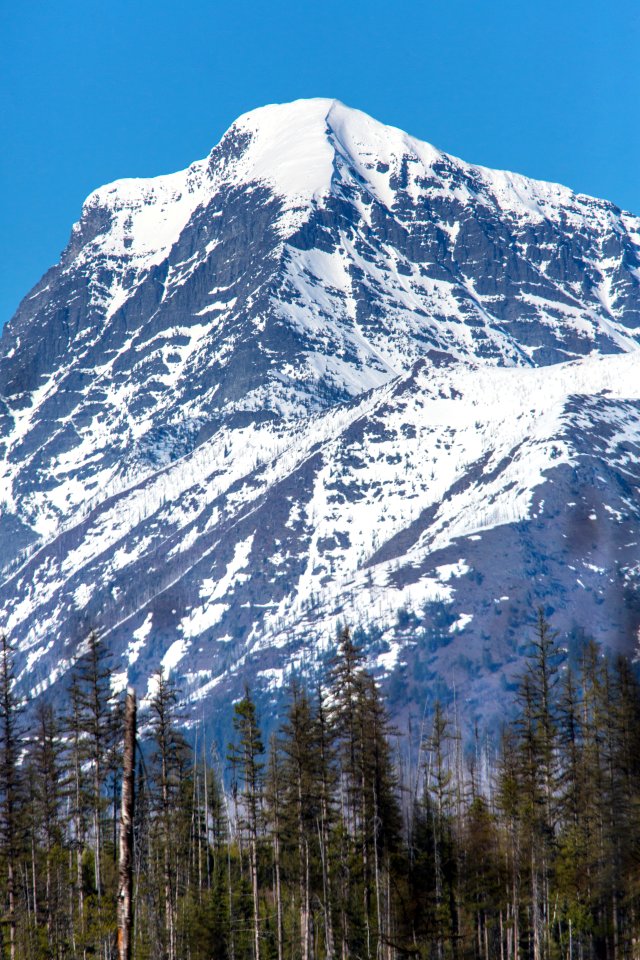 Mt. Vaught From Camas Road