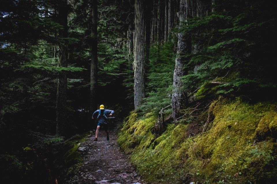 Running the Avalanche Trail