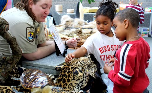 Kids Petting Cat Hide photo