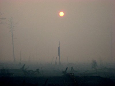 Sun, smoke, and snags