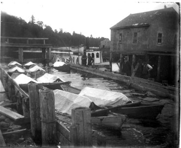 Orland lock with 9 salmon cars
