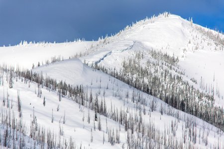 Apgar Ridge in Winter photo