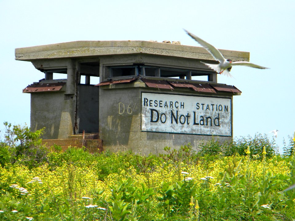 Great Gull Island, NY