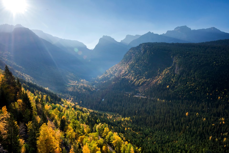 Sun Road- Morning