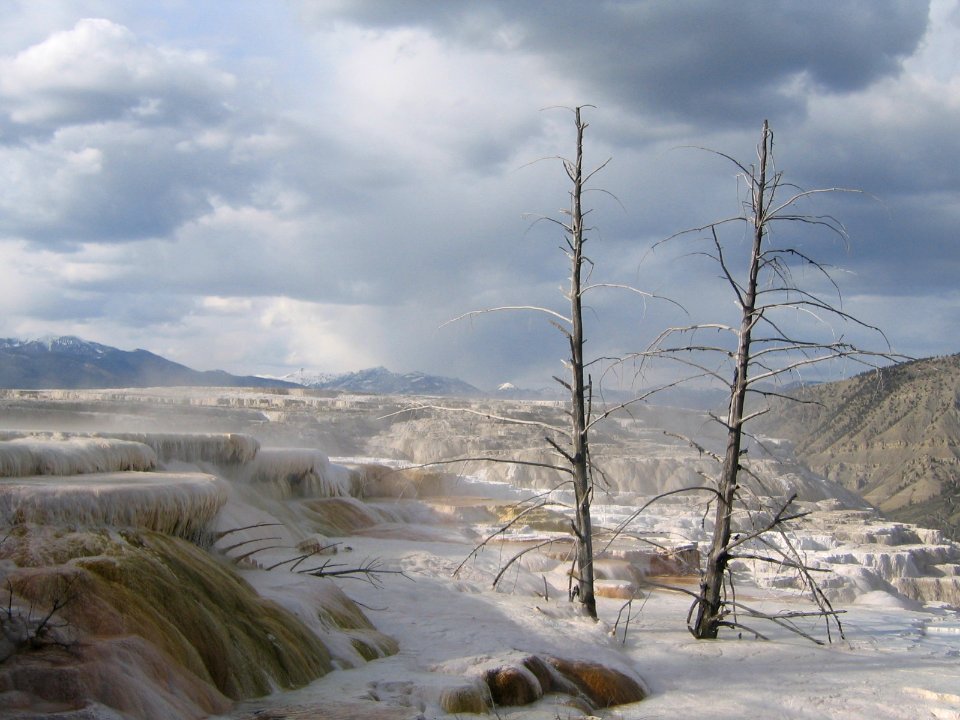 Yellowstone National Park photo