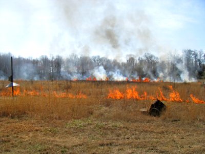 Burning to Promote Wildlife Habitat
