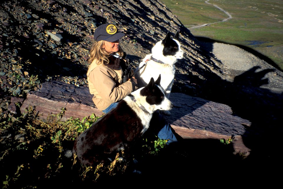 Karelian Bear Dogs
