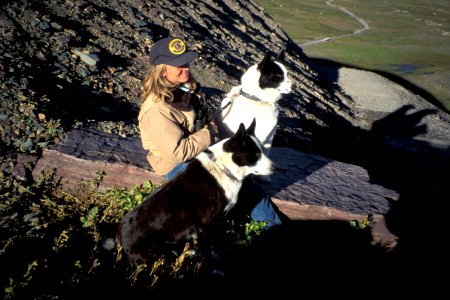 Karelian Bear Dogs
