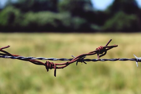Wire thorn limit photo
