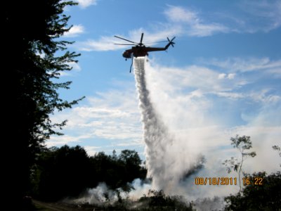 The plume we like to see
