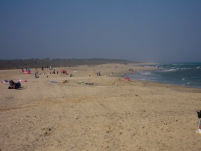 Beach at Chincoteague National Wildlife Refuge (VA)
