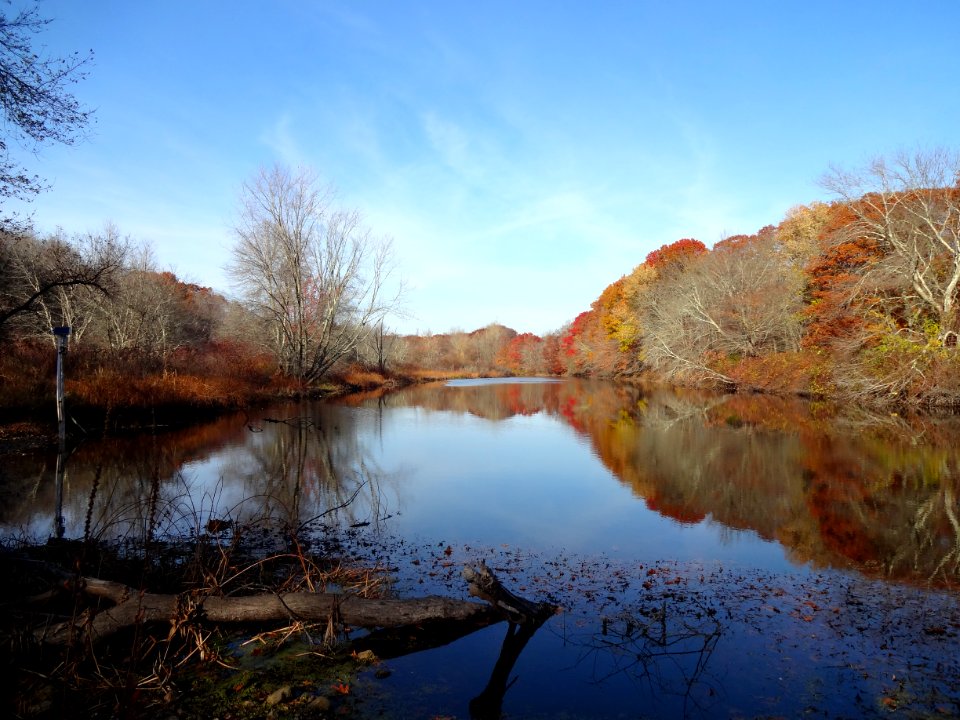 White Rock Dam - the impounded water in late Autumn