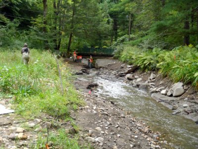 Stroud Dam Pre Removal