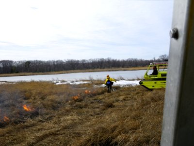 Burning for habitat in the Northeast