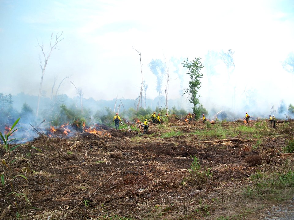 Using fire to fight fire