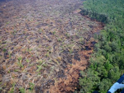 Fire edge post Irene